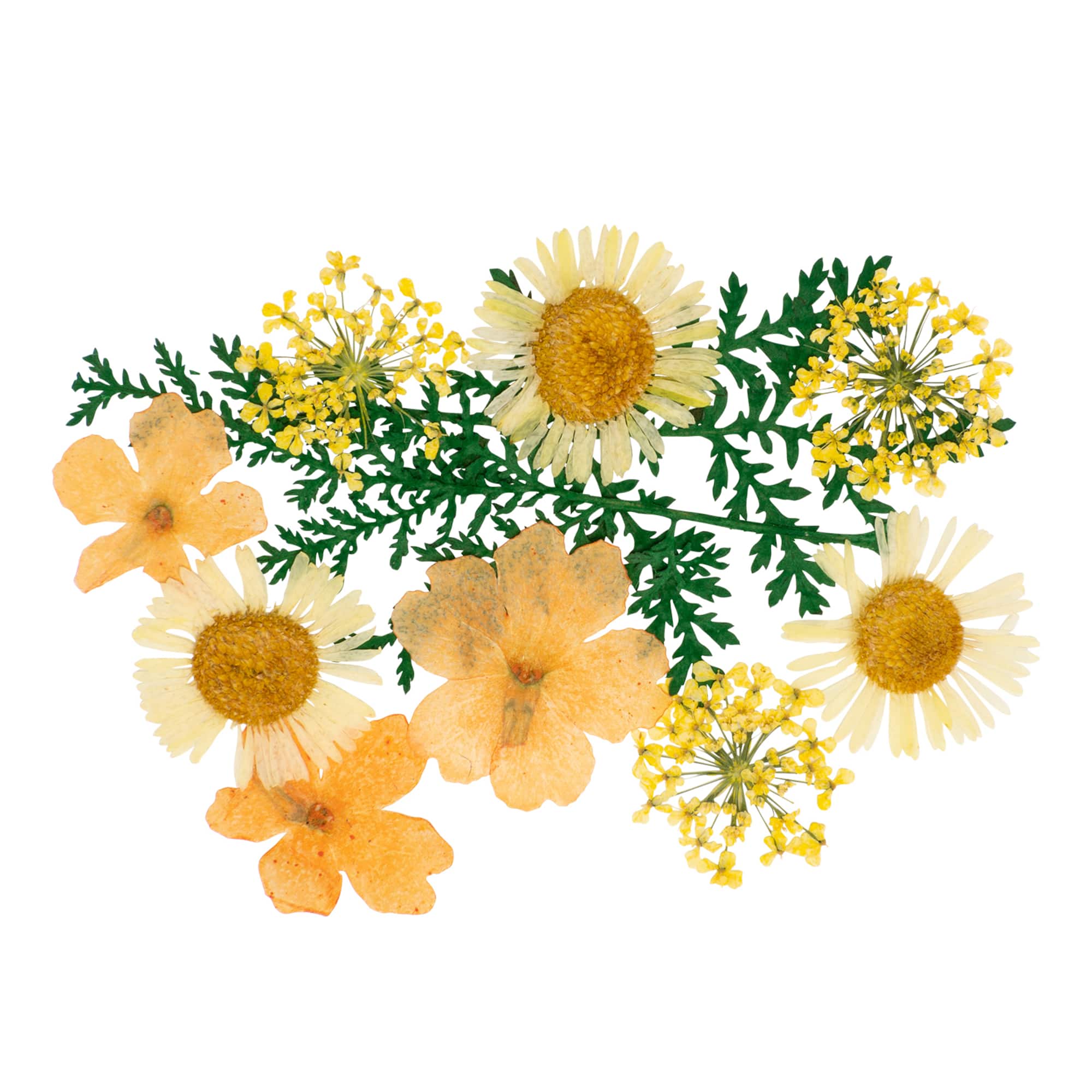 Blue Moon Studio™ UV Resin Craft Yellow Dried Wildflower Mix